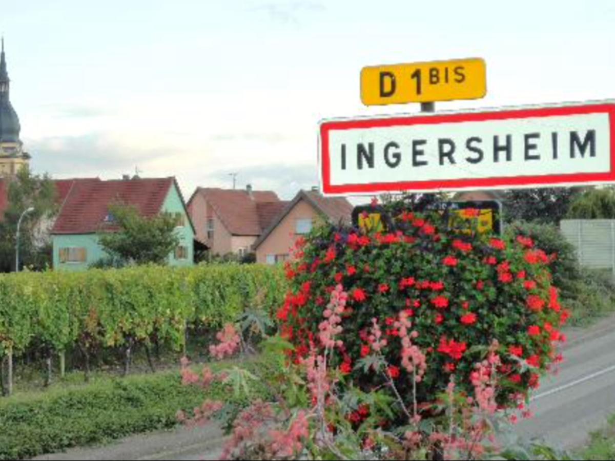 Gite Du Moulin Ingersheim Exteriör bild
